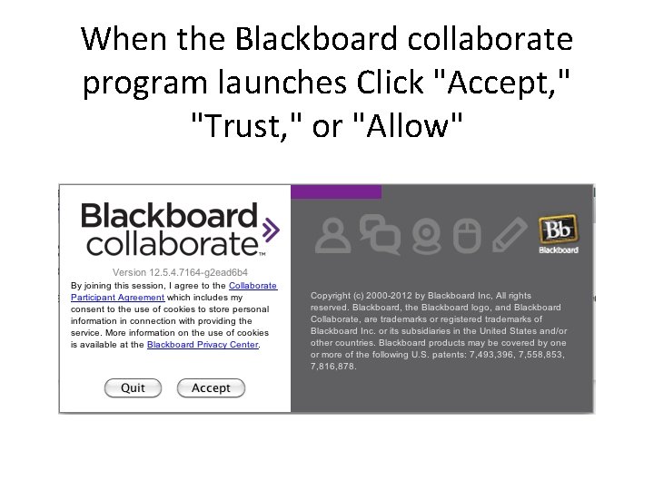 When the Blackboard collaborate program launches Click "Accept, " "Trust, " or "Allow" 