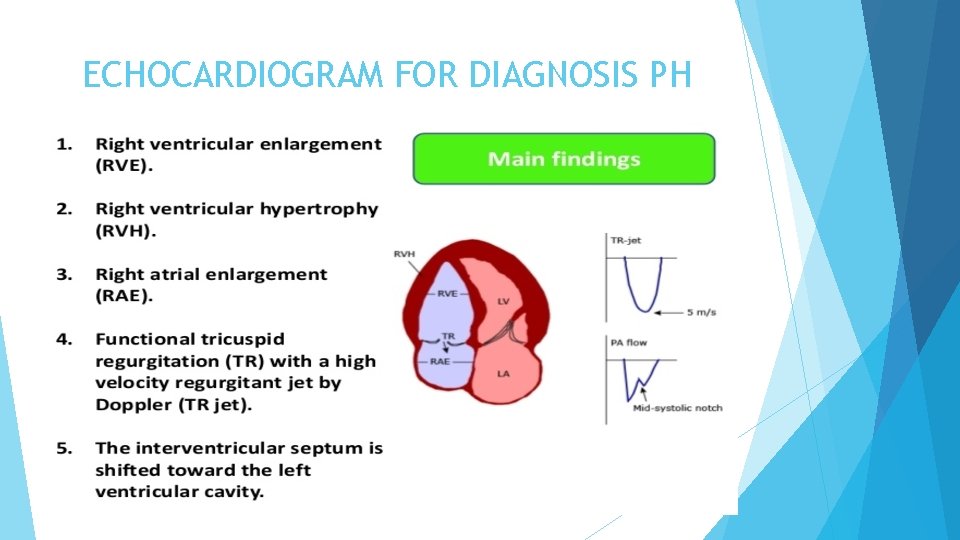 ECHOCARDIOGRAM FOR DIAGNOSIS PH 