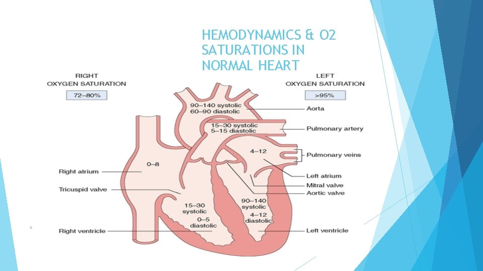 HEMODYNAMICS & O 2 SATURATIONS IN NORMAL HEART 