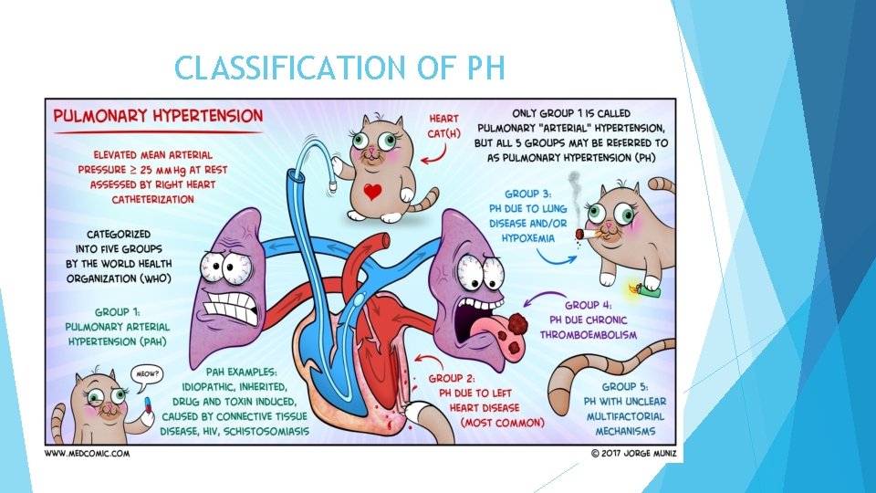 CLASSIFICATION OF PH 