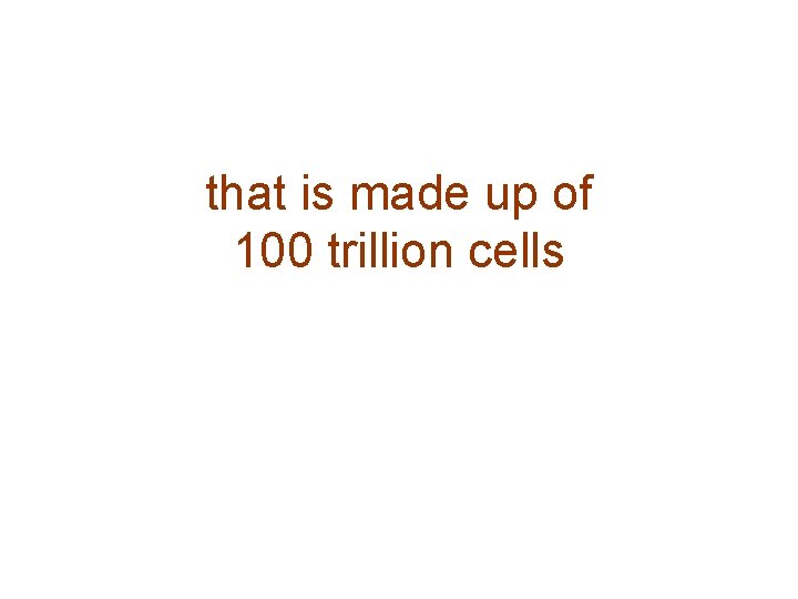 that is made up of 100 trillion cells 