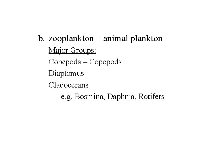 b. zooplankton – animal plankton Major Groups: Copepoda – Copepods Diaptomus Cladocerans e. g.