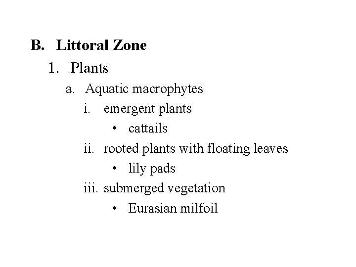 B. Littoral Zone 1. Plants a. Aquatic macrophytes i. emergent plants • cattails ii.