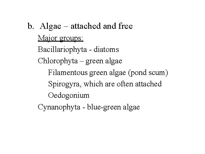b. Algae – attached and free Major groups: Bacillariophyta - diatoms Chlorophyta – green