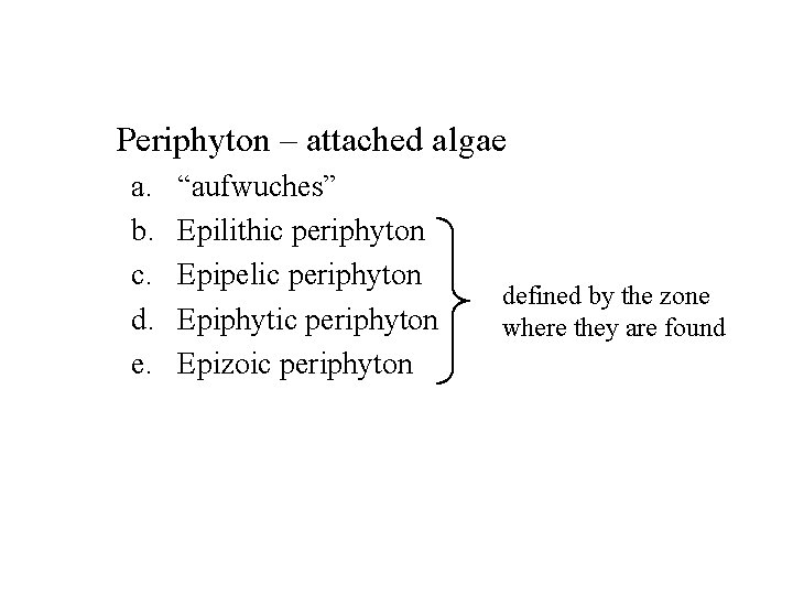Periphyton – attached algae a. b. c. d. e. “aufwuches” Epilithic periphyton Epipelic periphyton