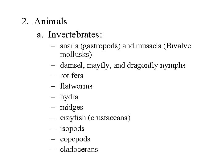 2. Animals a. Invertebrates: – snails (gastropods) and mussels (Bivalve mollusks) – damsel, mayfly,