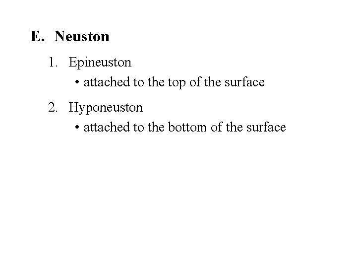 E. Neuston 1. Epineuston • attached to the top of the surface 2. Hyponeuston