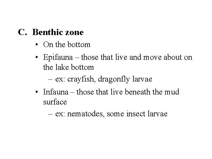 C. Benthic zone • On the bottom • Epifauna – those that live and