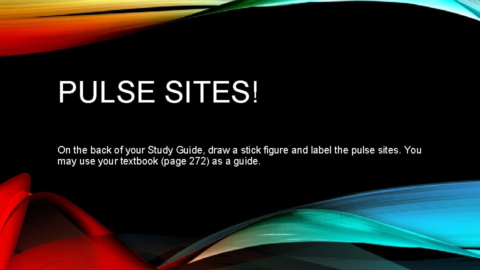 PULSE SITES! On the back of your Study Guide, draw a stick figure and