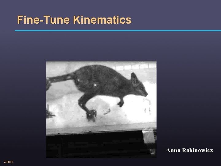 Fine-Tune Kinematics Anna Rabinowicz 2/14/00 