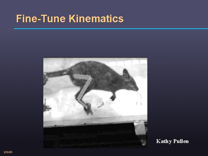 Fine-Tune Kinematics Kathy Pullen 2/14/00 