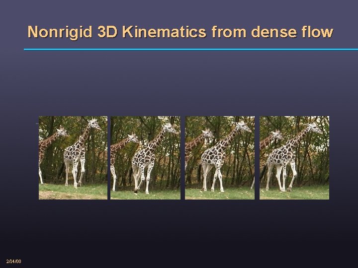 Nonrigid 3 D Kinematics from dense flow - 2/14/00 
