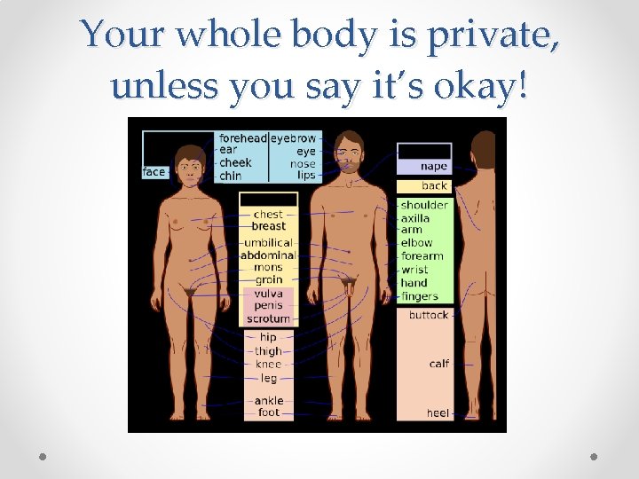 Your whole body is private, unless you say it’s okay! 