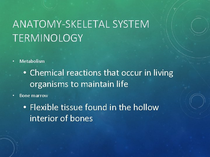 ANATOMY-SKELETAL SYSTEM TERMINOLOGY • Metabolism • Chemical reactions that occur in living organisms to