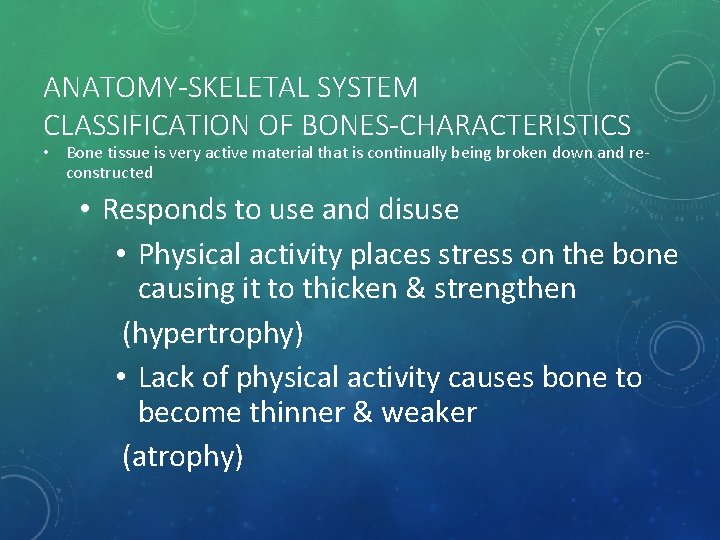 ANATOMY-SKELETAL SYSTEM CLASSIFICATION OF BONES-CHARACTERISTICS • Bone tissue is very active material that is