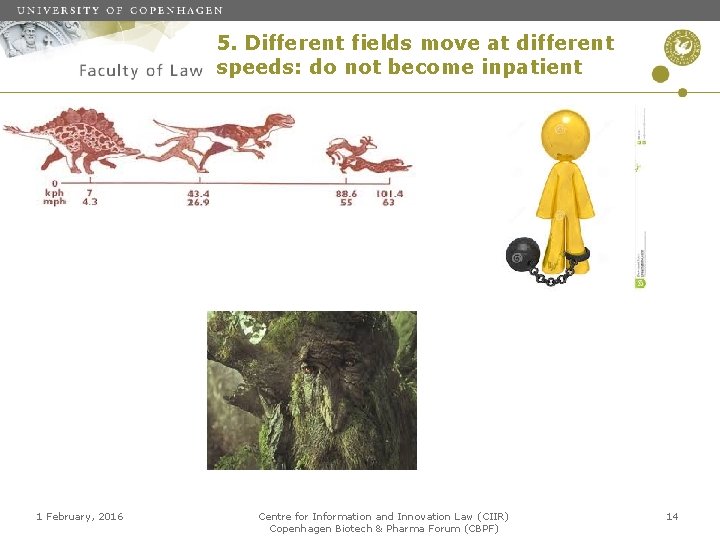 5. Different fields move at different speeds: do not become inpatient ents 1 February,