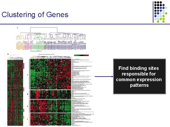 Clustering of Genes Find binding sites responsible for common expression patterns 