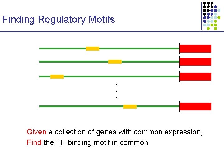 Finding Regulatory Motifs . . . Given a collection of genes with common expression,