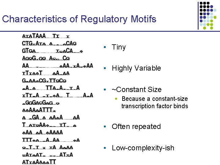 Characteristics of Regulatory Motifs • Tiny • Highly Variable • ~Constant Size § Because