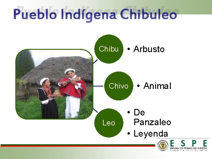 Pueblo Indígena Chibuleo Chibu • Arbusto Chivo Leo • Animal • De Panzaleo •