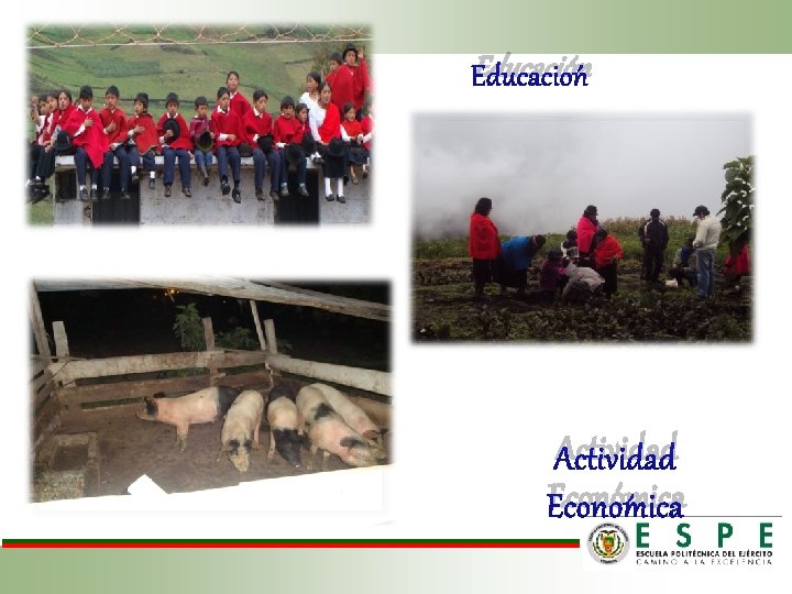 Educación Actividad Económica 