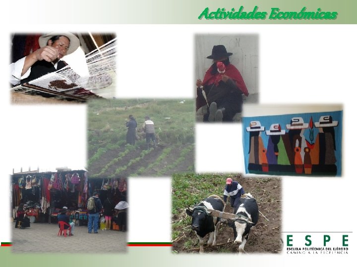 Actividades Económicas 