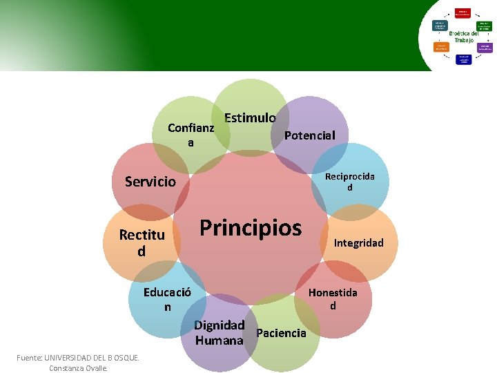 Confianz a Estimulo Potencial Reciprocida d Servicio Rectitu d Principios Educació n Honestida d