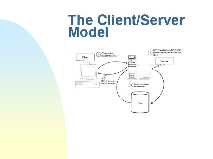 The Client/Server Model 