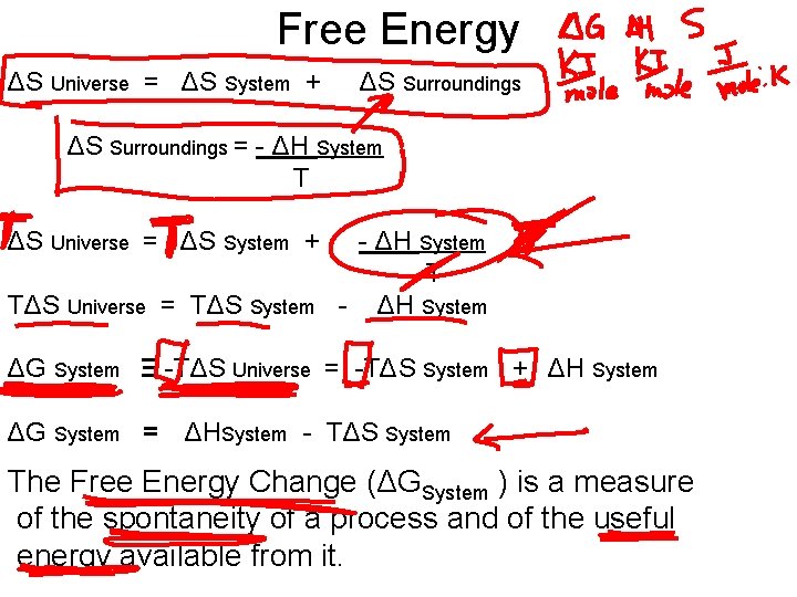 Free Energy ΔS Universe = ΔS System + ΔS Surroundings = - ΔH System