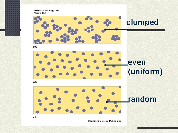 clumped even (uniform) random 