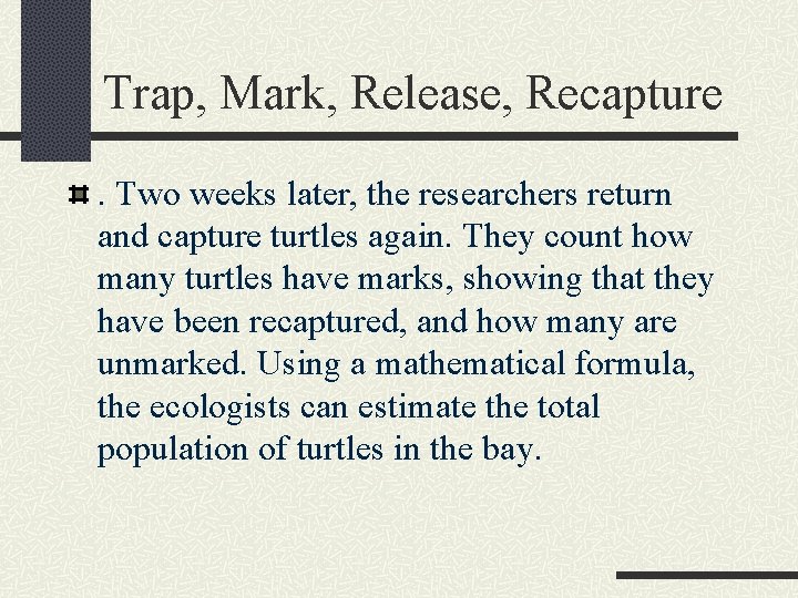 Trap, Mark, Release, Recapture. Two weeks later, the researchers return and capture turtles again.