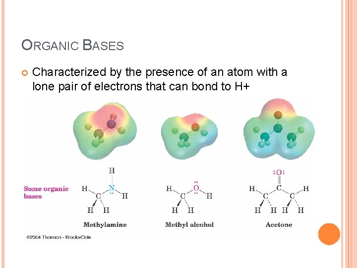 ORGANIC BASES Characterized by the presence of an atom with a lone pair of