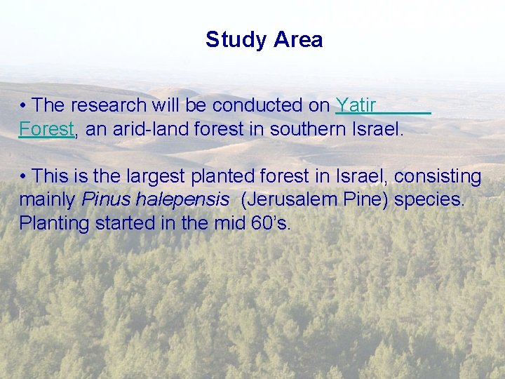 Study Area • The research will be conducted on Yatir Forest, an arid-land forest