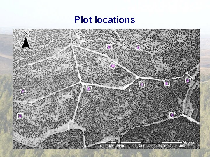 Plot locations 