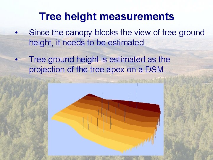 Tree height measurements • Since the canopy blocks the view of tree ground height,