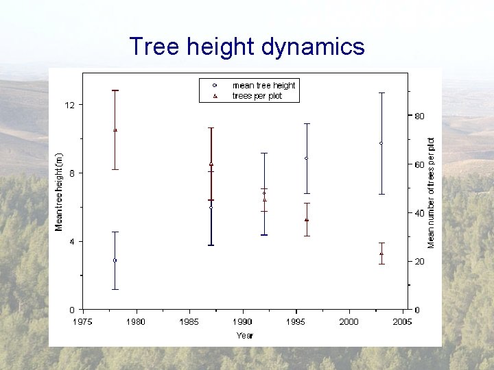 Tree height dynamics 
