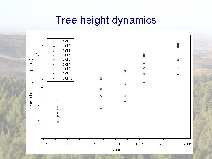 Tree height dynamics 