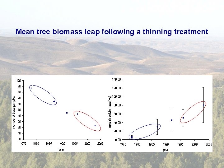 Mean tree biomass leap following a thinning treatment 