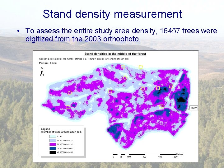 Stand density measurement • To assess the entire study area density, 16457 trees were