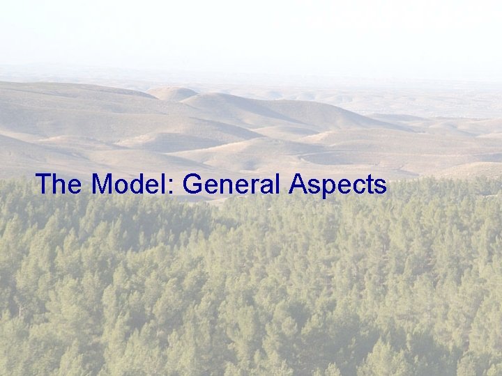 The Model: General Aspects 