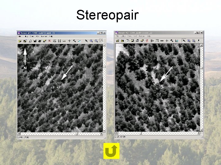 Stereopair 