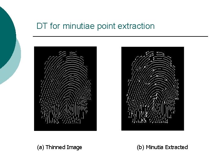 DT for minutiae point extraction (a) Thinned Image (b) Minutia Extracted 