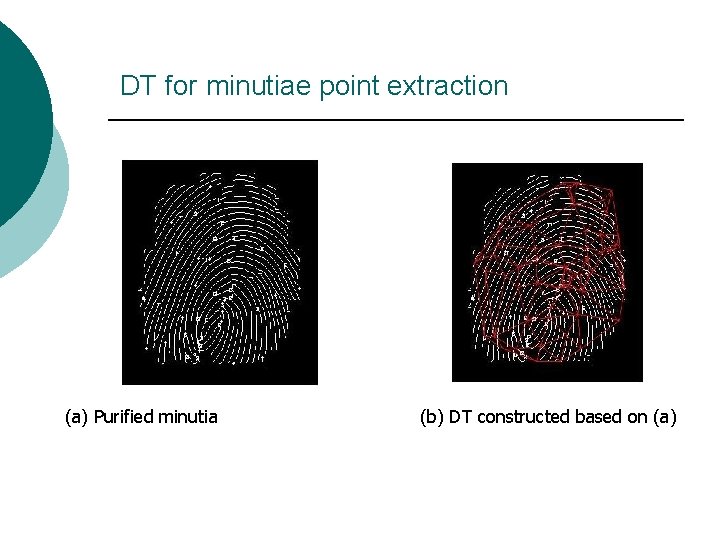 DT for minutiae point extraction (a) Purified minutia (b) DT constructed based on (a)