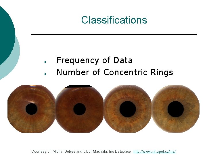 Classifications ● ● Frequency of Data Number of Concentric Rings Courtesy of: Michal Dobes