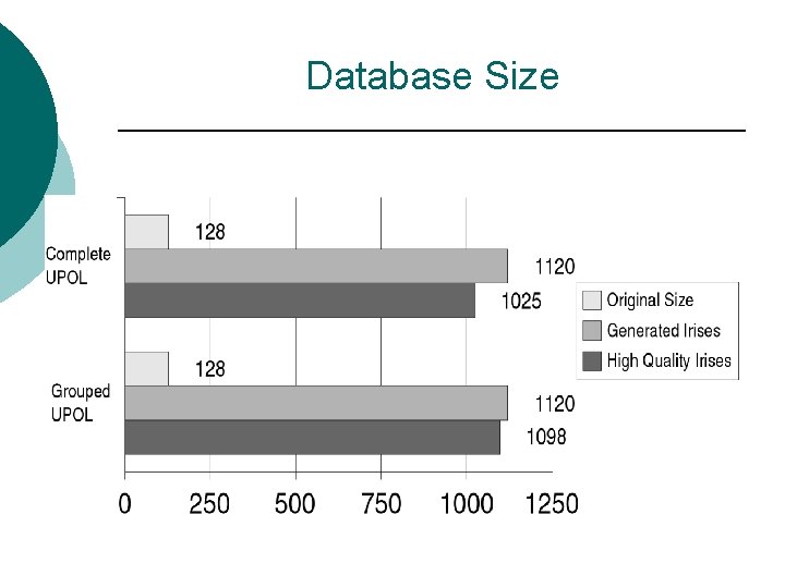 Database Size 