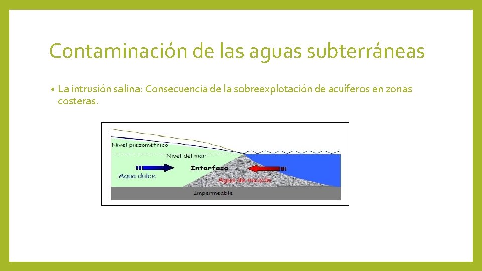 Contaminación de las aguas subterráneas • La intrusión salina: Consecuencia de la sobreexplotación de