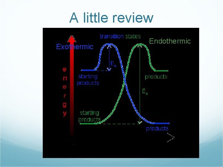 A little review Exothermic Endothermic 