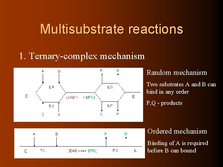 Multisubstrate reactions 1. Ternary-complex mechanism Random mechanism Two substrates A and B can bind