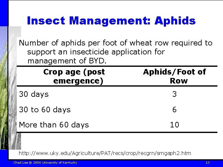 Insect Management: Aphids Number of aphids per foot of wheat row required to support