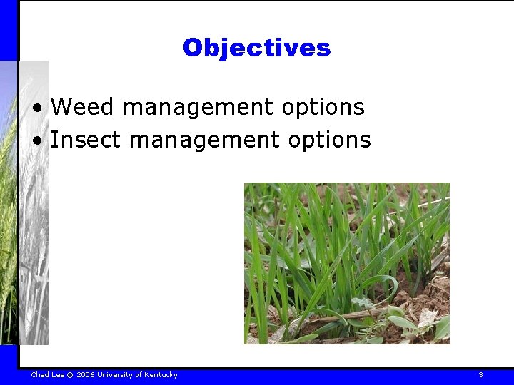 Objectives • Weed management options • Insect management options Chad Lee © 2006 University